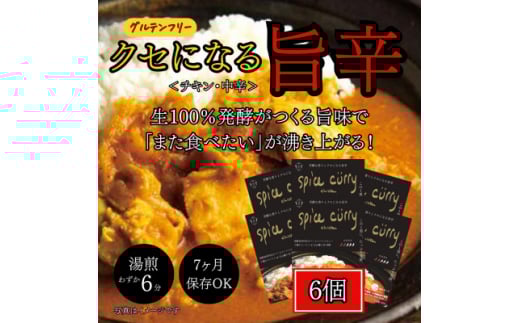 発酵スパイスカレー6個 ★5種のスパイスと白山麓のW発酵 芳醇な香り&クセになる旨辛 グルテンフリー【1376653】石川県白山市10000鍋セット・総菜・加工食品総菜