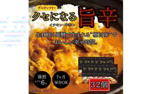 発酵スパイスカレー32個 ★生100%の発酵の力で生まれる「極旨味」でクセになる旨辛 グルテンフリー【1586920】石川県白山市51000鍋セット・総菜・加工食品総菜