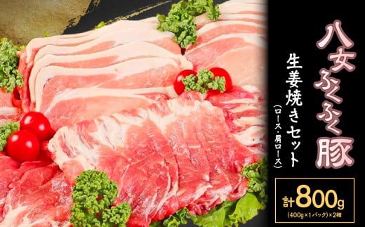 yӂӂ؁z[XE[XIĂZbg@v800gs10000ؓ