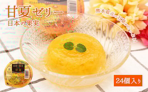 甘夏ゼリー24個セット 八女 フルーツ ゼリー 甘夏福岡県八女市28000菓子・スイーツプリン・ゼリー