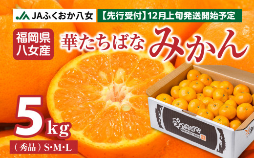 【先行予約】【2025年12月発送開始】華たちばなみかん 約5kg|JAふくおか八女 蜜柑 ミカン 秀品 福岡 果物 フルーツ 先行予約 家庭用 自宅用 数量限定 期間限定福岡県八女市11000果物・フル