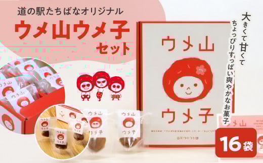 <道の駅たちばなオリジナル>ウメ山ウメ子セット福岡県八女市10000菓子・スイーツその他 和菓子
