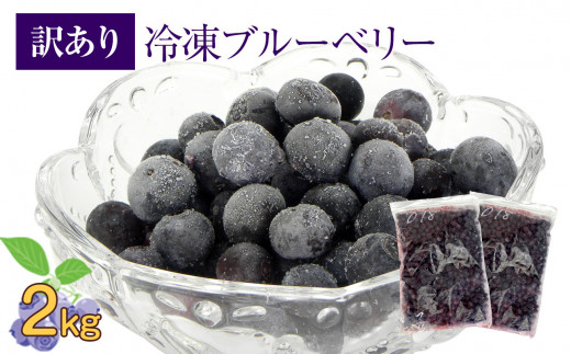 かの蜂 国産 【訳あり】 冷凍ブルーベリー2kg (1kg×2袋) 八女市産 ブルーベリー福岡県八女市14000果物・フルーツその他 果物・フルーツ
