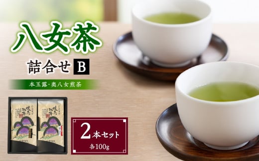八女茶詰合せセットB(本玉露1本・奥八女煎茶1本)各100g福岡県八女市11000お茶・飲料お茶