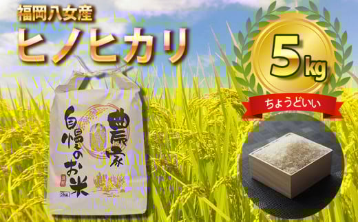 八女産ヒノヒカリ 5kg! 清流矢部川と大地の恵み 米 白米 ご飯 粘り 甘み コク福岡県八女市17000米・パン白米