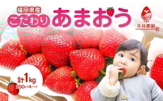 こだわりあまおう 250g×4パック(合計1kg)|2026年2月〜順次発送<ひらい観光農園> あまおう いちご 福岡県限定 産地直送 高級ブランド 土づくり 安全性 濃厚な味 あかい まるい おおきい