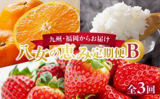 九州・福岡からお届け!八女の恵み定期便【全3回】 B|<配送不可:北海道・沖縄・離島>福岡県八女市45000果物・フルーツいちご