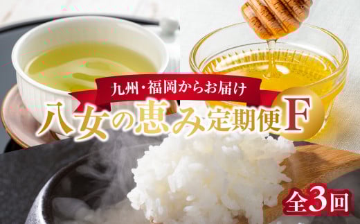 九州・福岡からお届け!八女の恵み定期便【全3回】 F福岡県八女市36000お茶・飲料お茶