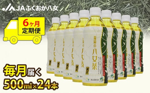 【6ヶ月連続お届け】福岡の八女茶 煎茶ペットボトル(500ml×24本)産地直送福岡県八女市72000お茶・飲料お茶