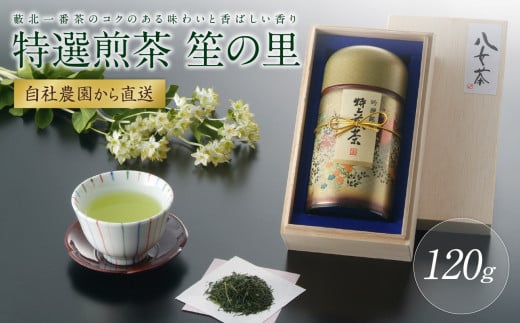 【自社農園から直送】藪北一番茶のコクのある味わいと香ばしい香り 笙の里福岡県八女市12000お茶・飲料お茶