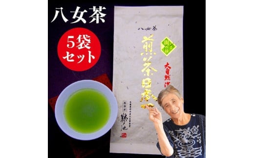 自社製造の深蒸しの八女茶!当店実績ナンバーワン!樹の抄(いつきのしょう)100g入り5袋セット福岡県八女市22000お茶・飲料お茶