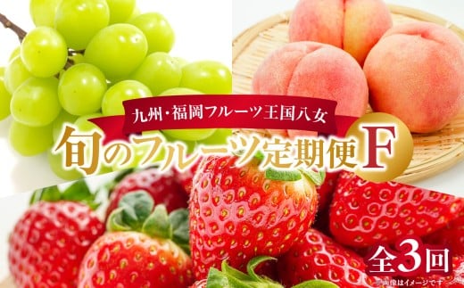 九州・福岡フルーツ王国八女 お楽しみ旬のフルーツ定期便【全3回】 F|<配送不可:北海道・沖縄・離島>  フルーツ定期便 フルーツ定期便 3回福岡県八女市45000果物・フルーツもも・す