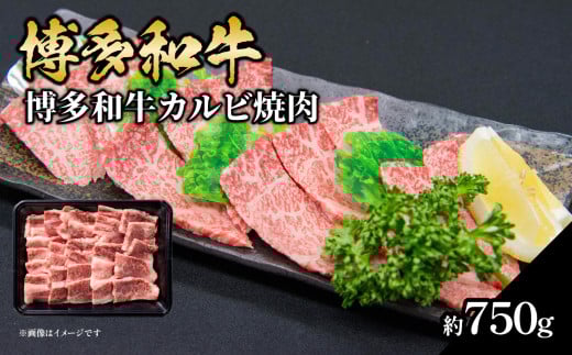 a Jrē 750g   a a  Jr o Y 3`5lO Ⓚ Ⓚz g؂TCY ~ i Z _炩 W[V[ ē Ƒc e  