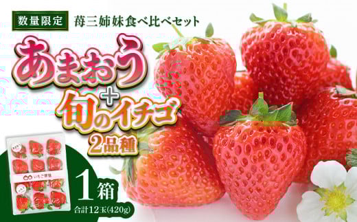 <2026年1月〜順次発送>苺三姉妹【あまおう+旬のイチゴ2品種】食べ比べセット★数量限定★ あまおう いちご 苺 イチゴ フルーツ 果物 くだもの 人気 旬 福岡県産 食べ比べ 採れたて 3品種