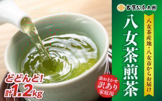 Éꐻ{ 󂠂育ƒp ǂǂƂP.QL  e   Yi N t  pbN Βs16000E