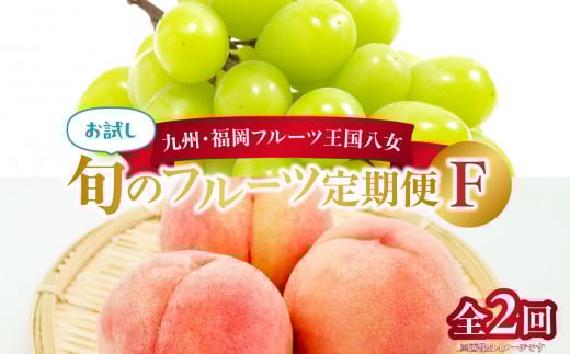 九州・福岡フルーツ王国八女 お試し旬のフルーツ定期便【全2回】 F|<配送不可:北海道・沖縄・離島> 桃 シャインマスカット もも 果物 先行予約 旬のフルーツ 詰め合わせ 福岡県 お
