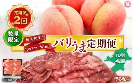 博多和牛と旬のフルーツが届く! 九州福岡バリうま定期便 【全2回】D <配送不可:北海道・沖縄・離島>福岡県八女市30000肉牛肉