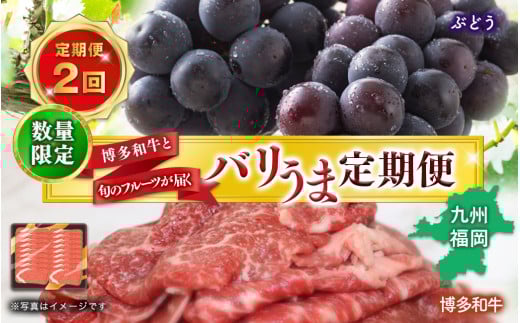 博多和牛と旬のフルーツが届く! 九州福岡バリうま定期便 【全2回】C <配送不可:北海道・沖縄・離島>福岡県八女市30000肉牛肉