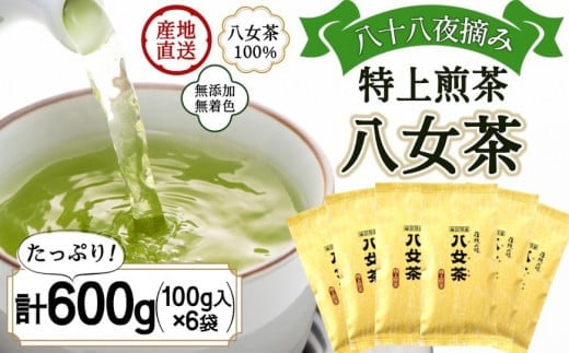 八女茶100% まろやかなコクとさわやかな後味「特上煎茶」100g×6袋<岩崎園製茶>福岡県八女市22000お茶・飲料お茶