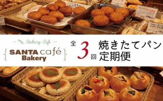 パン屋さん直送!焼きたてパン詰め合わせ定期便【全3回】 パン 定期便 朝食 国産 小麦 お取り寄せ ベーカリー 焼き立て ご当地 八女市福岡県八女市33000米・パンパン