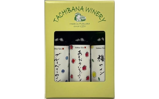 フルーツワイン300ml3本セット福岡県八女市11000酒・アルコールワイン