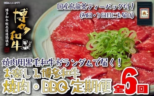 【福岡の国産黒毛和牛】博多和牛の焼肉・BBQお楽しみ定期便【全6回】福岡県八女市150000肉牛肉