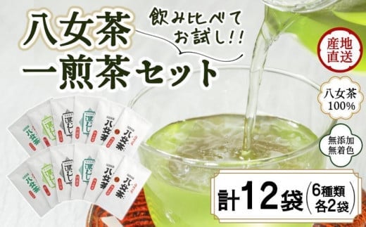 八女茶100% 飲み比べも楽しいお試しセット12袋! 急須1回分7gが12袋 <岩崎園製茶>【メール便】福岡県八女市5000お茶・飲料お茶