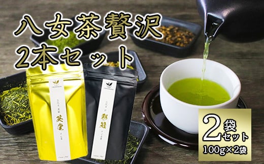 八女茶贅沢2本セット(100g×2袋)福岡県八女市14000お茶・飲料お茶