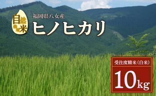 【2025年11月発送開始】<令和7年度新米>自然栽培米ヒノヒカリ10kg福岡県八女市40000米・パン白米