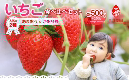 人気の2種いちご食べ比べセット「あまおう 250g」+「かおり野 250g」合計500g|2025年12月〜順次発送<ひらい観光農園> いちご イチゴ 苺 旬 期間限定 数量限定 デザート フルーツ 食べ比べ