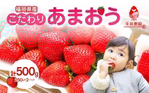 肠܂ 250g×2pbNiv500gjb2025N12`Ђ炢ό_  C`S  { Ԍ ʌ fU[g t[c  ss18000ʕEt[c