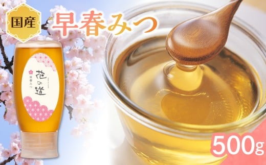 国産 早春みつ 500g福岡県八女市16000鍋セット・総菜・加工食品ジャム・はちみつ