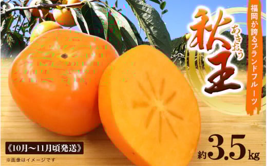 秋の贅沢、濃厚であま〜い柿の新ブランド「秋王」約3.5 kg フルーツ 秋の味覚福岡県八女市26000果物・フルーツその他 果物・フルーツ