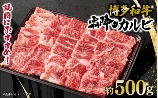 博多和牛 霜降りカルビ 約500g 肉 お肉 焼肉 バーベキュー BBQ キャンプ カルビ丼 チャーハン 料理福岡県八女市11000肉牛肉