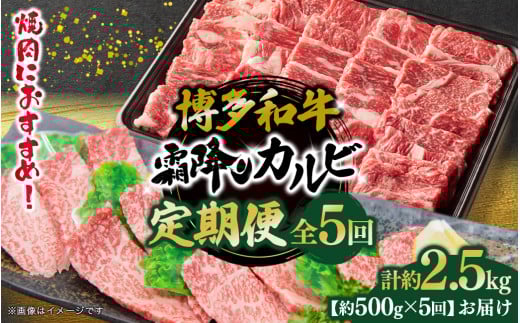 博多和牛 霜降りカルビ 全5回定期便 約500g×5回 肉 お肉 焼肉 牛 牛肉 和牛 バーベキュー BBQ福岡県八女市55000肉牛肉