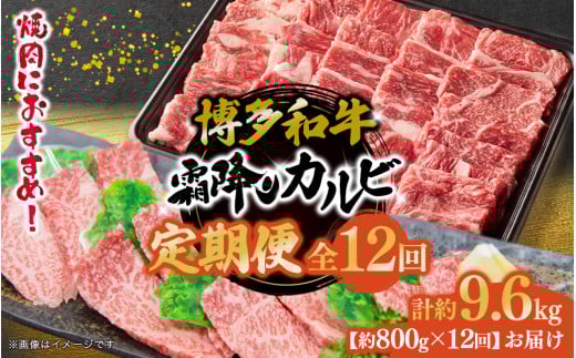 博多和牛 霜降りカルビ 全12回定期便 約800g×12回 肉 お肉 焼肉 牛 牛肉 和牛 バーベキュー BBQ 大容量福岡県八女市216000肉牛肉