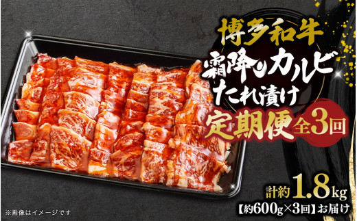 a ~JrЂ S3 600g×3   ē   a o[xL[ BBQs33000