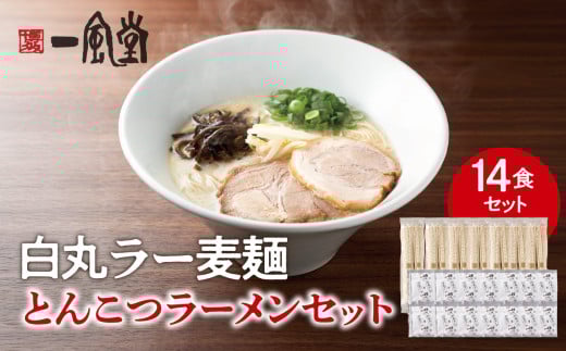 一風堂白丸ラー麦麺セット(14食) ラーメン とんこつ 豚骨 豚骨スープ ストレート麺 ラー麦 本格 福岡 ご当地 お取り寄せ福岡県八女市18000麺ラーメン