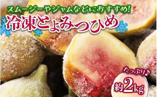 ⓀƂ݂Ђ߁ij2kg  Ƃ݂Ђ Ⓚ 1kg 2  N[ Ⓚz fU[g V[xbg X[W[ W p َq AW fU[g t[c