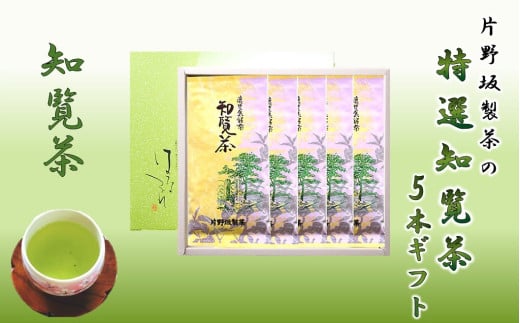 003-04 片野坂製茶の特選知覧茶5本ギフト鹿児島県南九州市30000お茶・飲料お茶