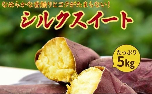 040-02 さつまいも「シルクスイート」5kg鹿児島県南九州市10500野菜・きのこじゃがいも・イモ類