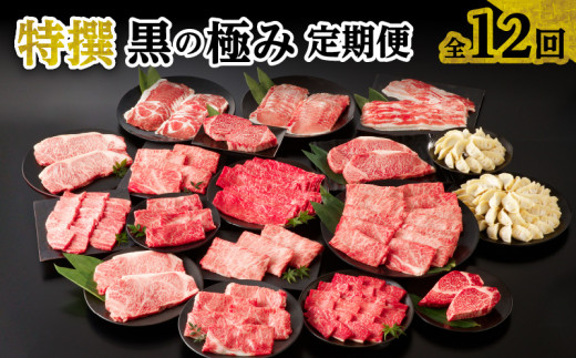 【全12回】特撰 黒の極み定期便 KURO-SP鹿児島県南九州市308000肉牛肉