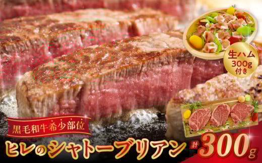 027-24 󏭕ʃq̃Vg[uAƎؐnZbgBs31500