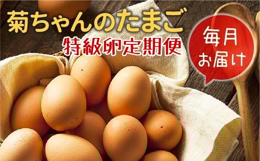 【全12回】毎月お届け!菊ちゃんのたまご(特級卵)定期便 042-08鹿児島県南九州市124000卵・乳製品卵(鶏、烏骨鶏等)