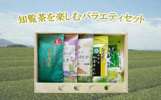 039-04 myރoGeBZbgBs19000E