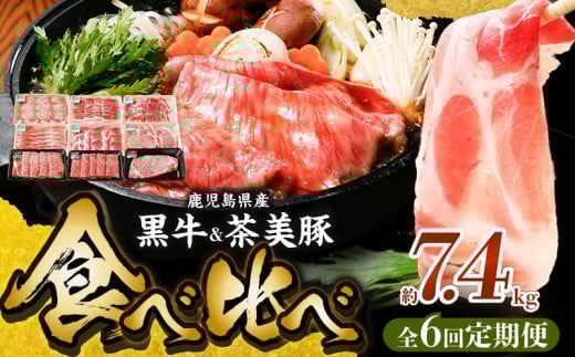 yS6zEؐHהג 022-17Bs155000