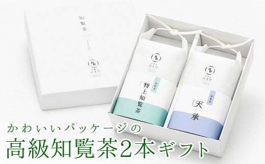 031-06 킢pbP[W̍m2{MtgBs12500E