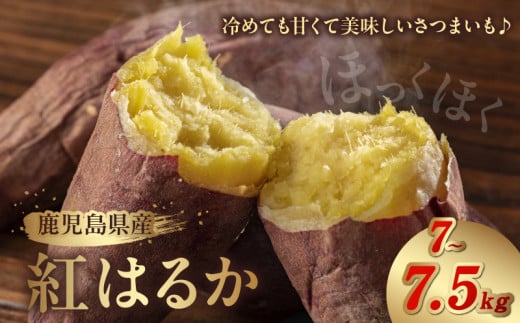 008-59 Yg͂邩7`7.5kgBs10500؁ÊႪEC