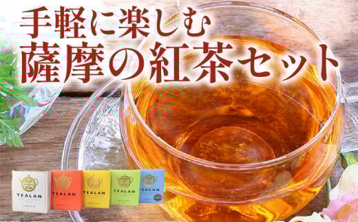073-06 手軽に楽しむ薩摩の紅茶セット鹿児島県南九州市19000お茶・飲料お茶