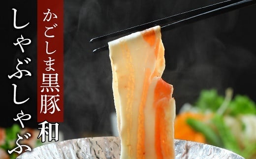 026-67 ܍؂ԂԃZbg aBs21000ؓ